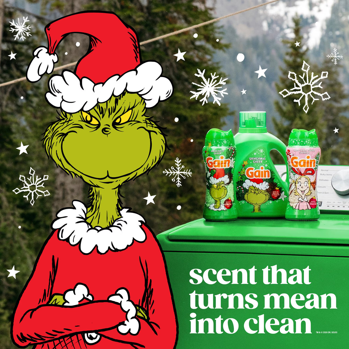 Gain In-Wash Scent Booster Beads - Grinchmas Cheer
