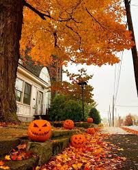 🍂Fall/Halloween🎃