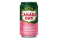 Canada Dry Strawberry Fruit Splash