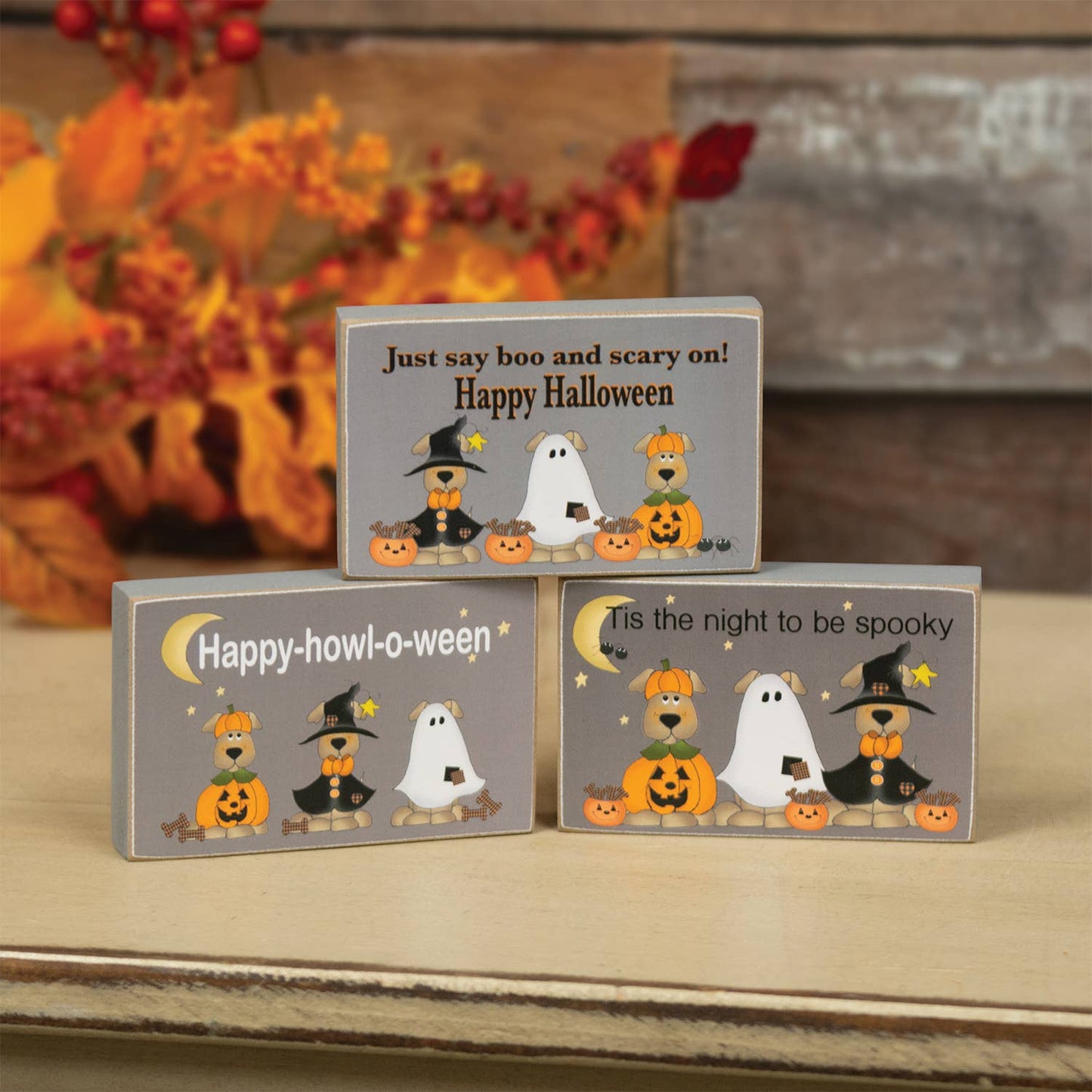 Happy-Howl-O-Ween Rectangle Dog Block - 3 Assorted